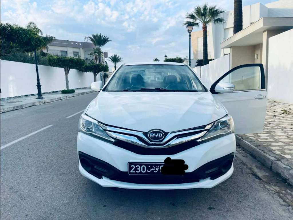 BYD 1er main toute option