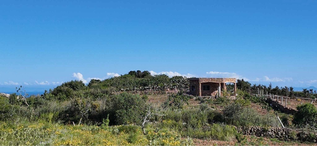 Terrain agricole à rafraf 