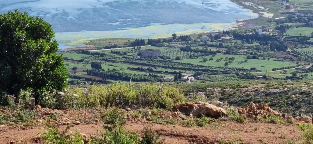 Terrain agricole à rafraf 