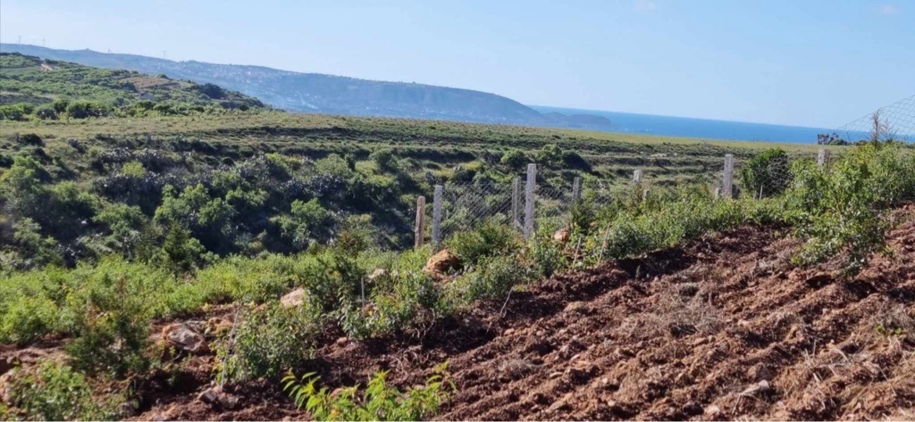 Terrain agricole à rafraf 