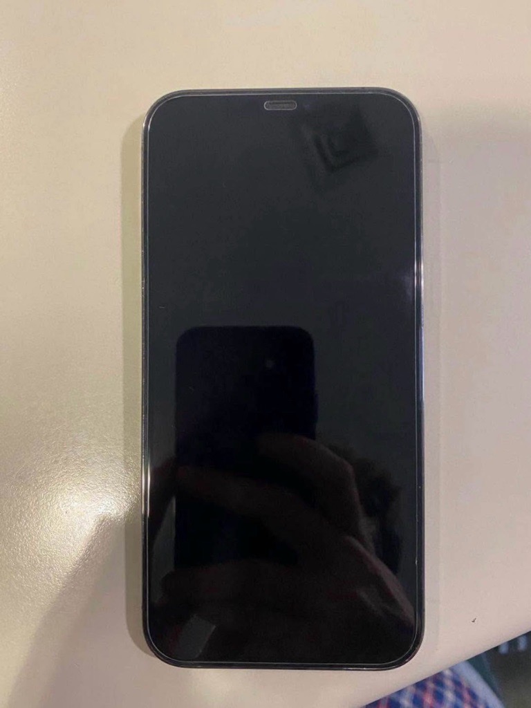 iPhone 12 Pro Max
