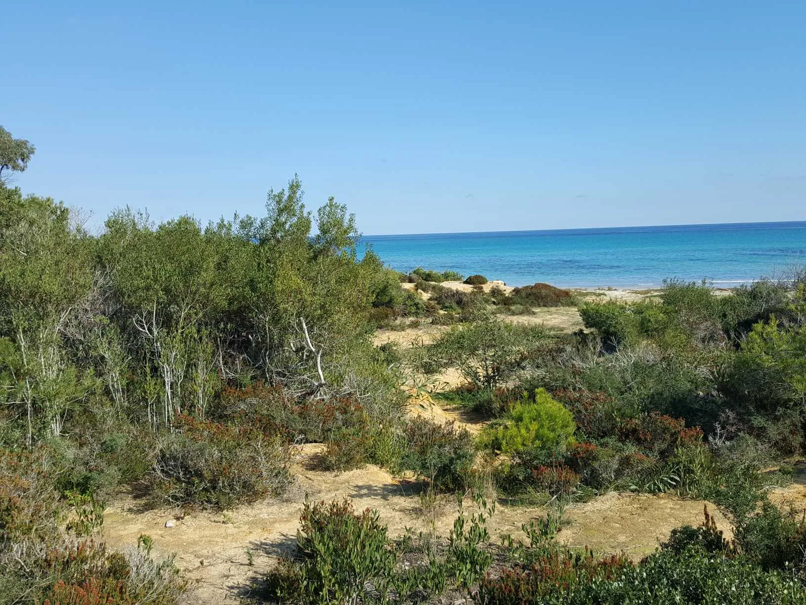 Terrain pour investir au cap bon 