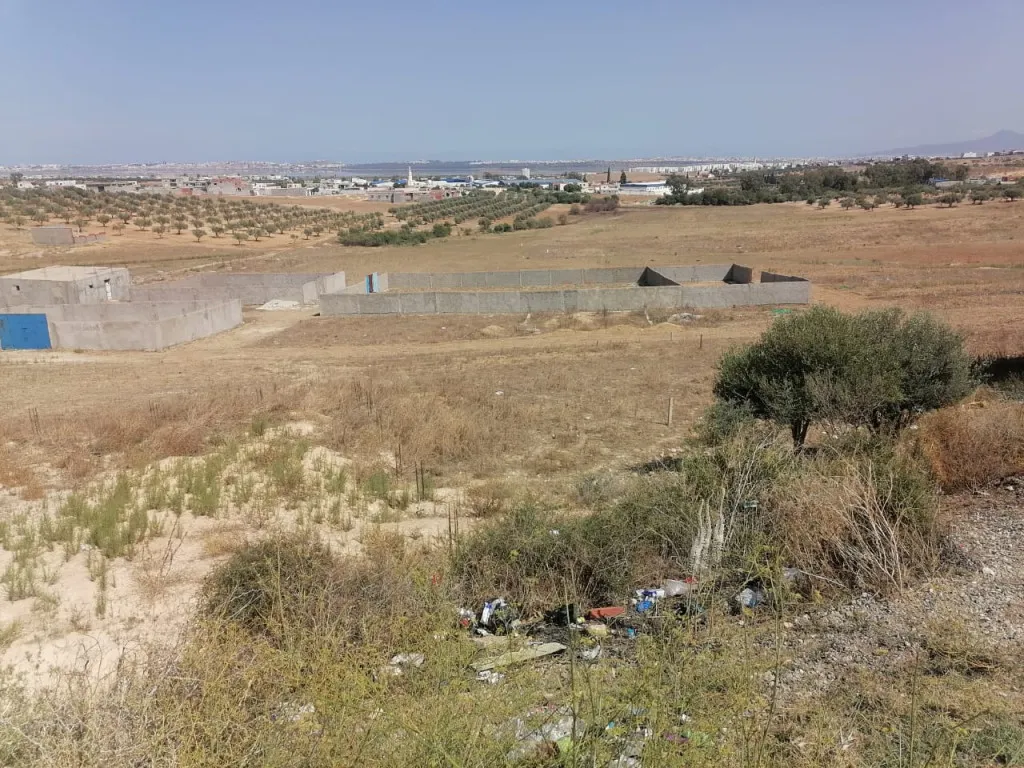 À vendre 4 lots de terrains clôturés à Lahouij Birini – Sidi Hcine