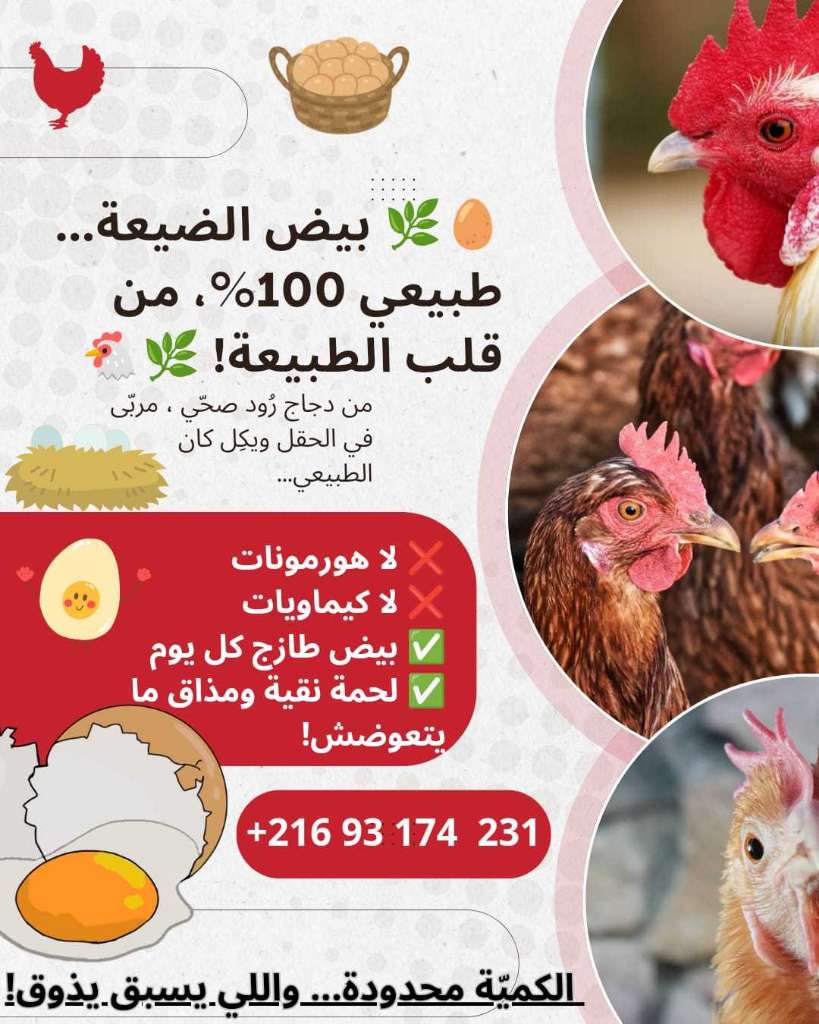 بيض طبيعي