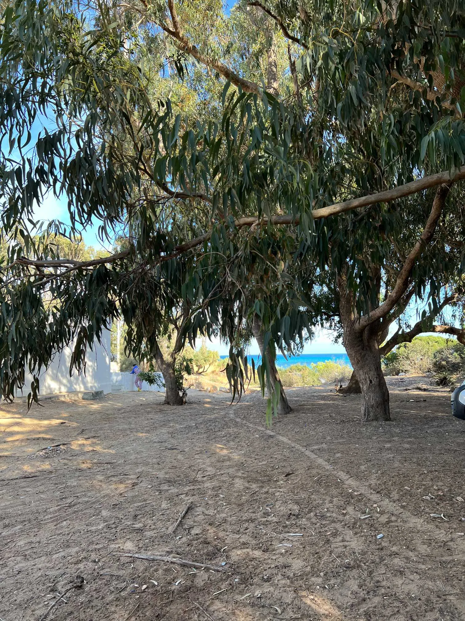 UN TERRAIN A SAISIR COTE KELIBIA