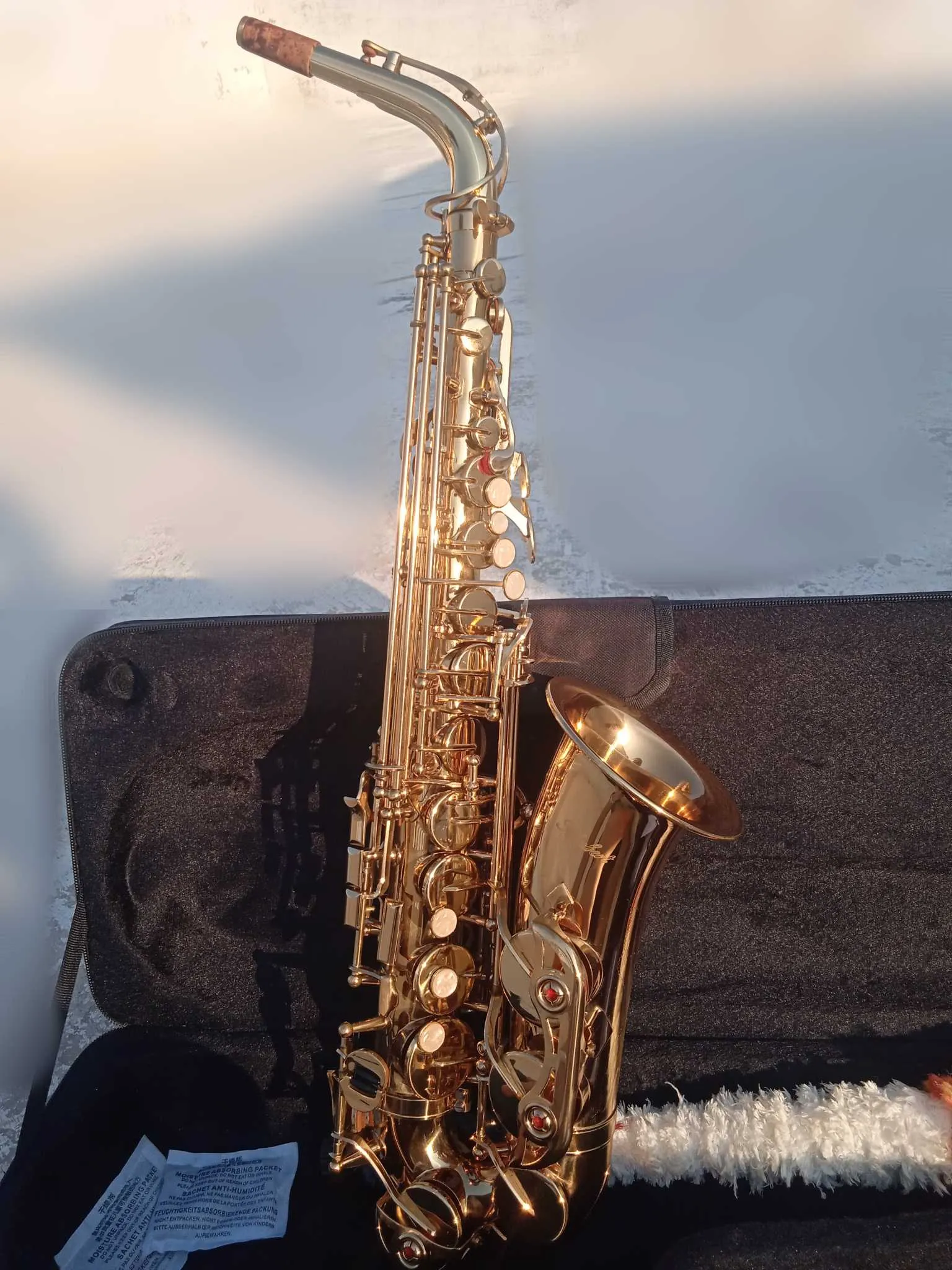 Saxophone alto 