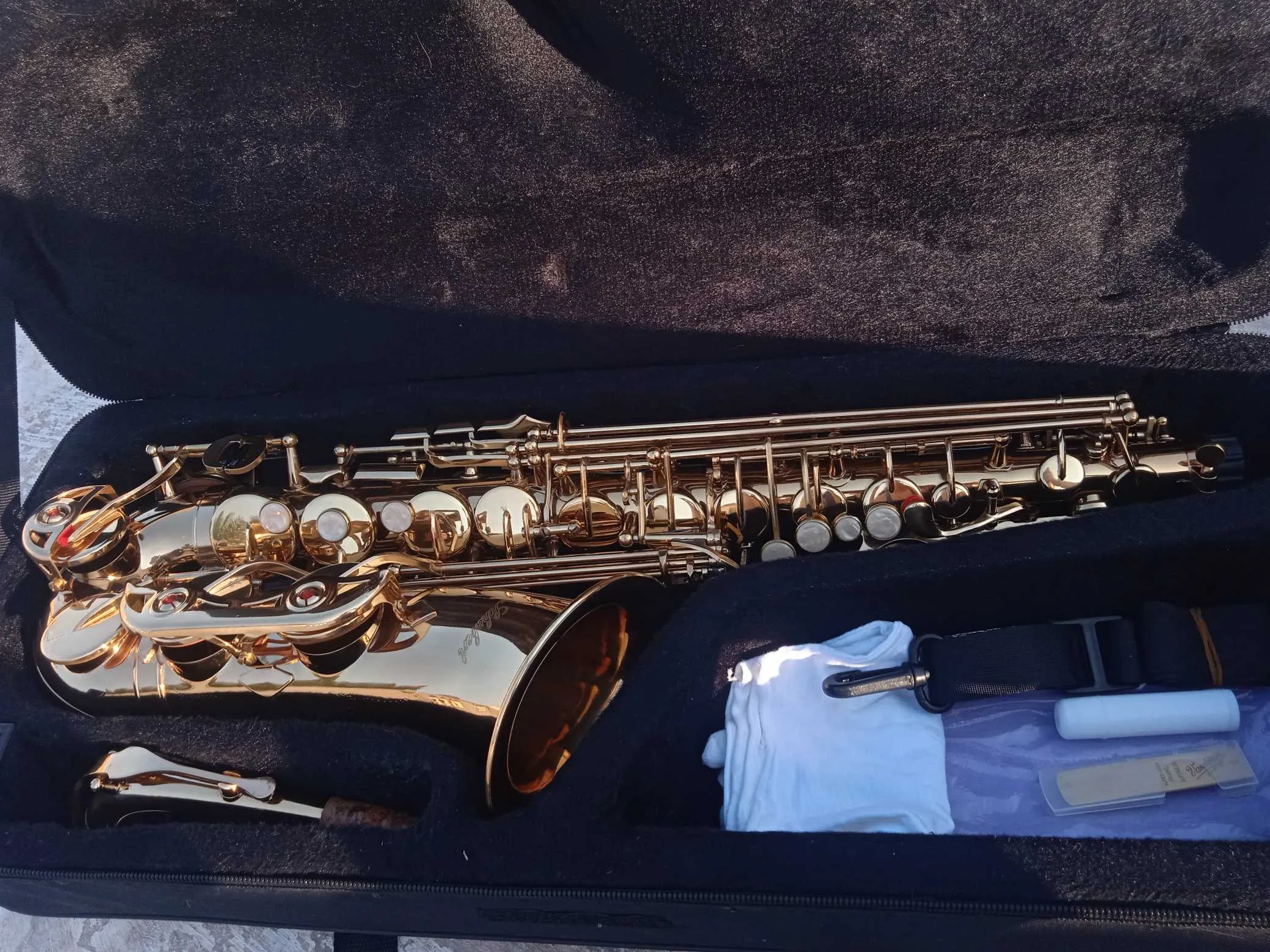 Saxophone alto 
