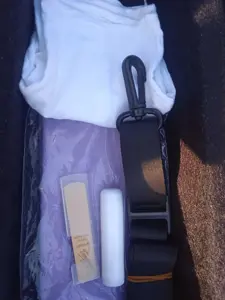 Saxophone alto 