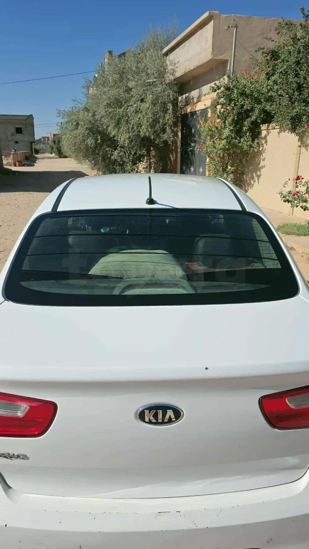 kia rio