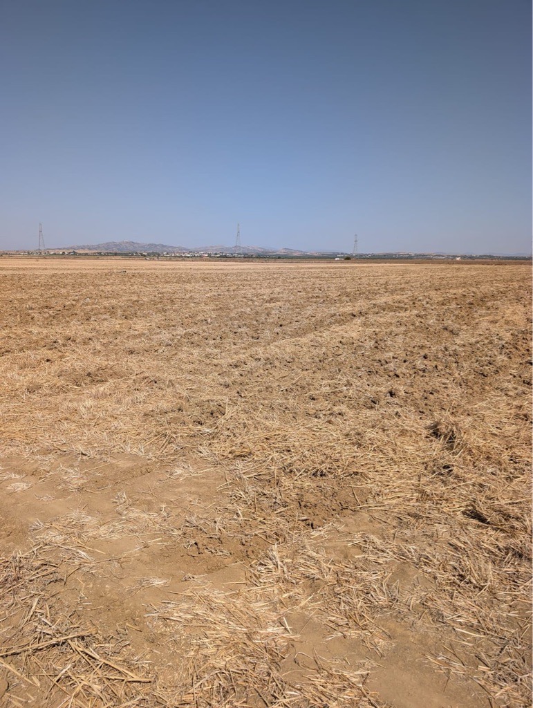 À Vendre – Terrain Agricole 12,5 ha a Enfidha