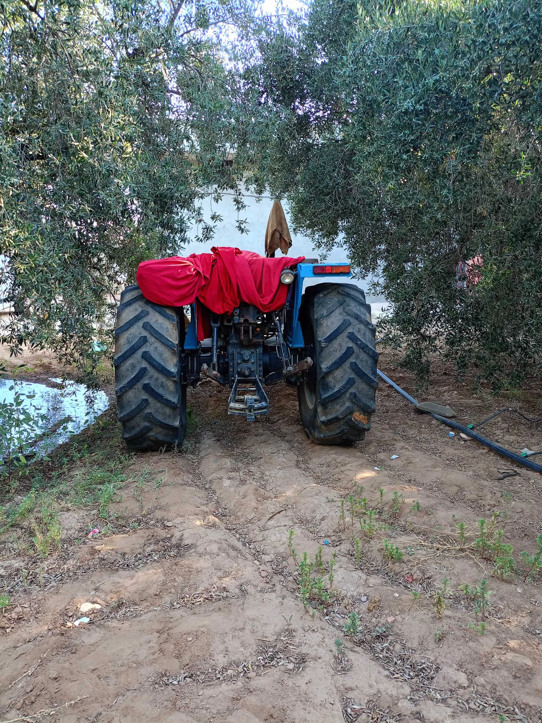 trakteur landini