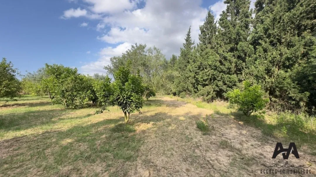 Terrain agricole de 2500 m² à El Machrouha, Gouvernorat de Nabeul.