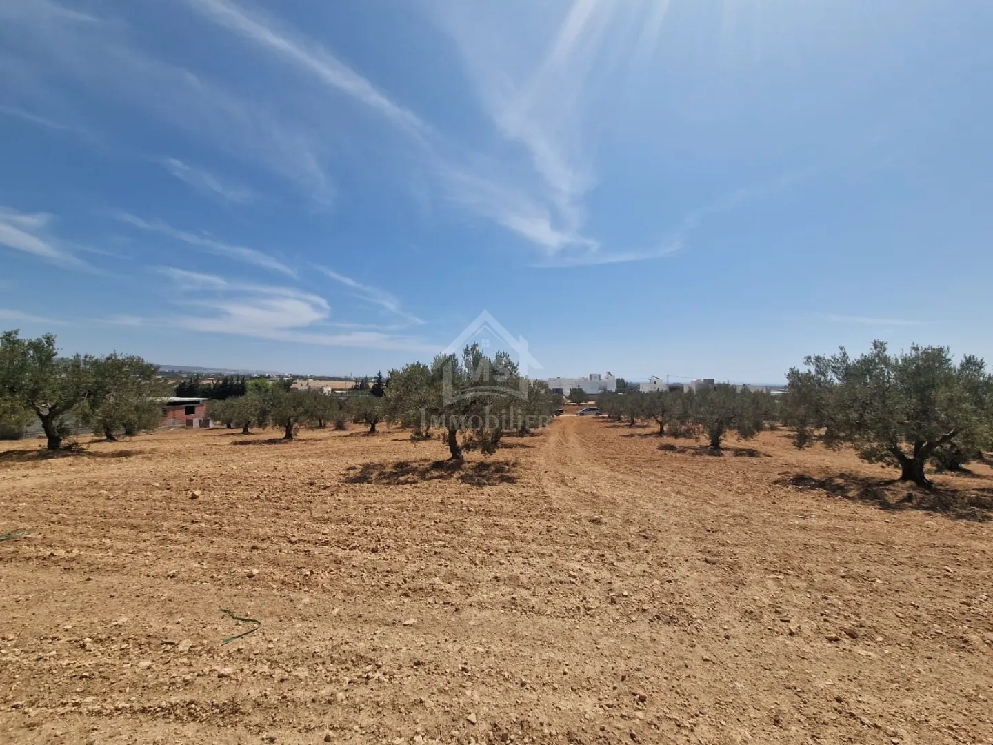 Terrain de 4018 m² à vendre à 200 dt/m² à Hammamet Sud 51355351