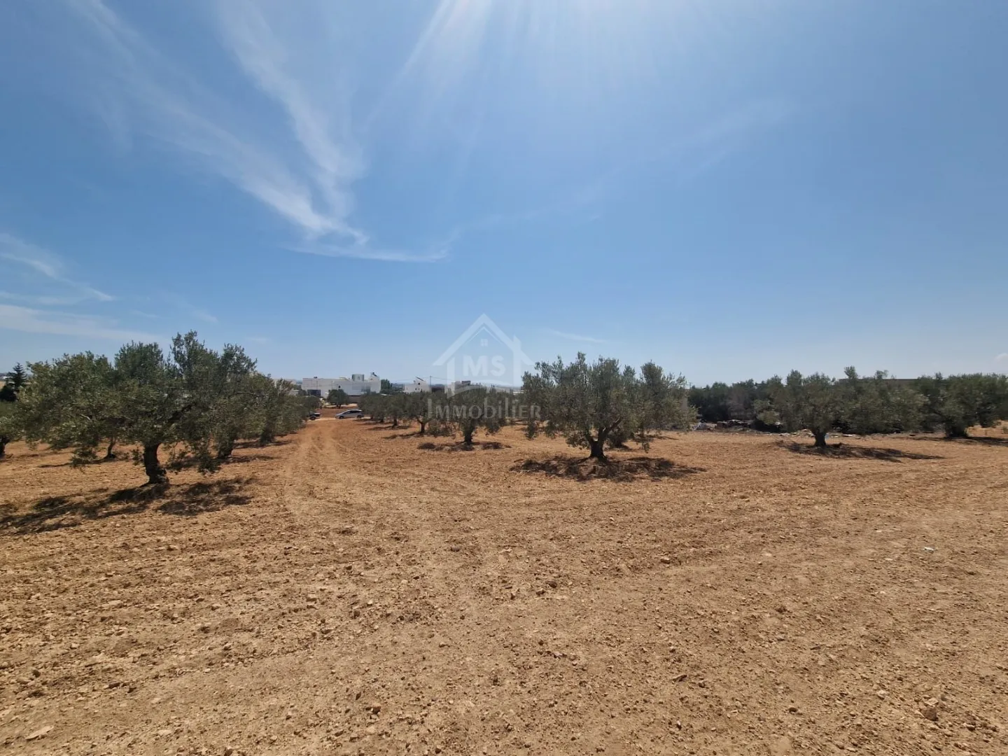 Terrain de 4018 m² à vendre à 200 dt/m² à Hammamet Sud 51355351