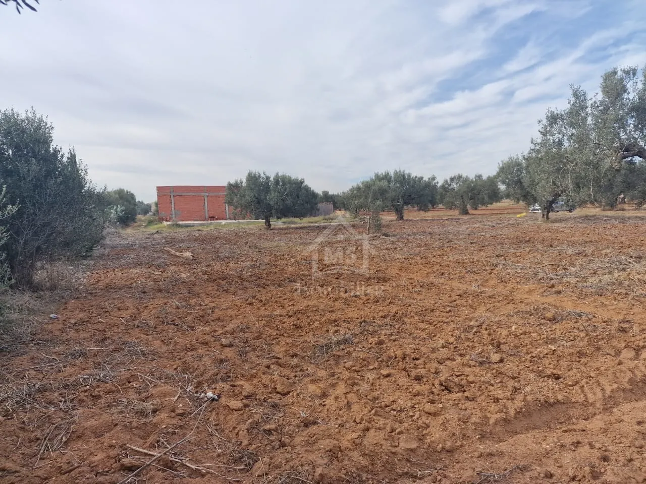 Terrain de 1000 m² à Hammamet Sud à vendre à 230 MD 51355351
