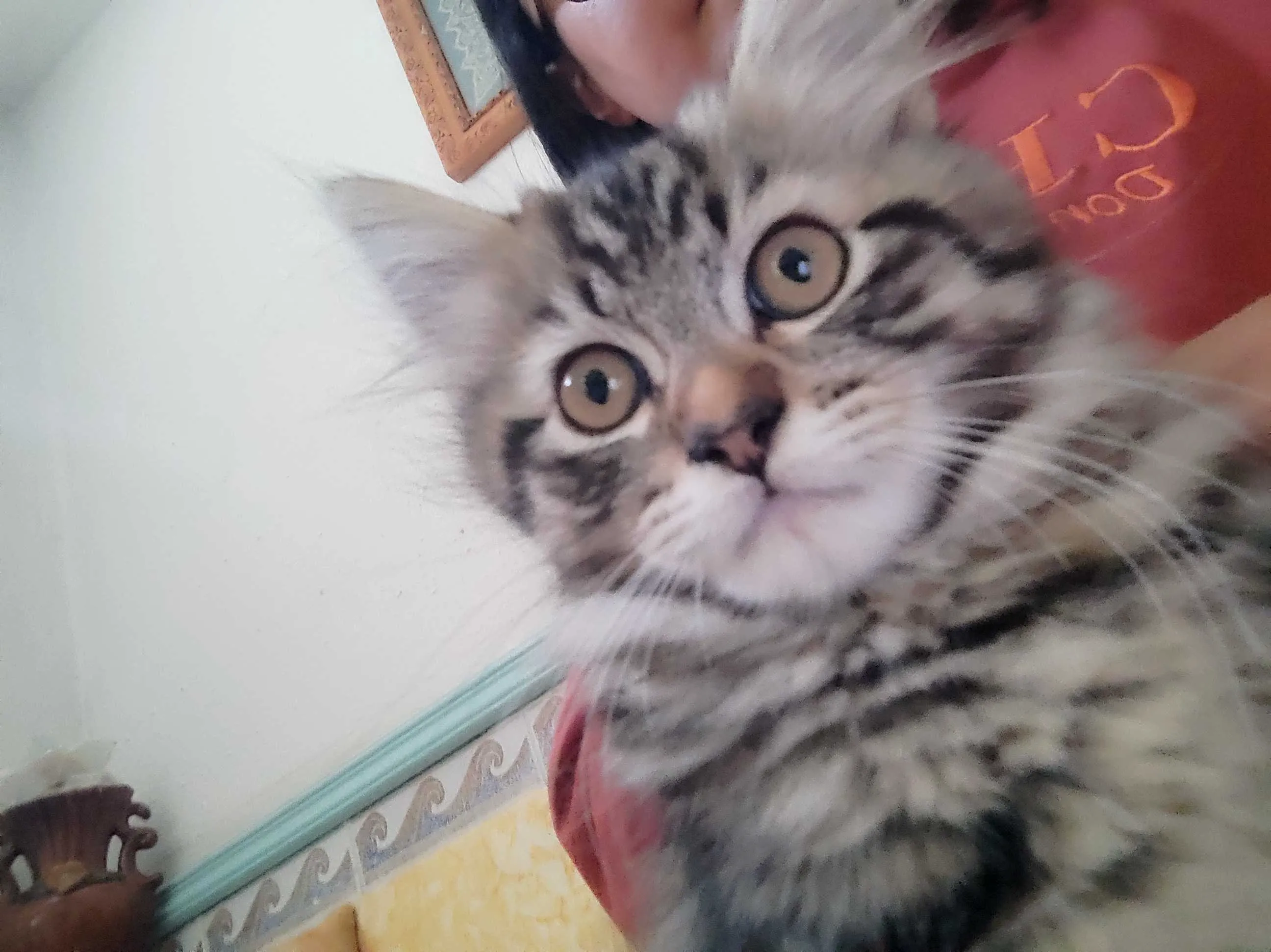 Persan