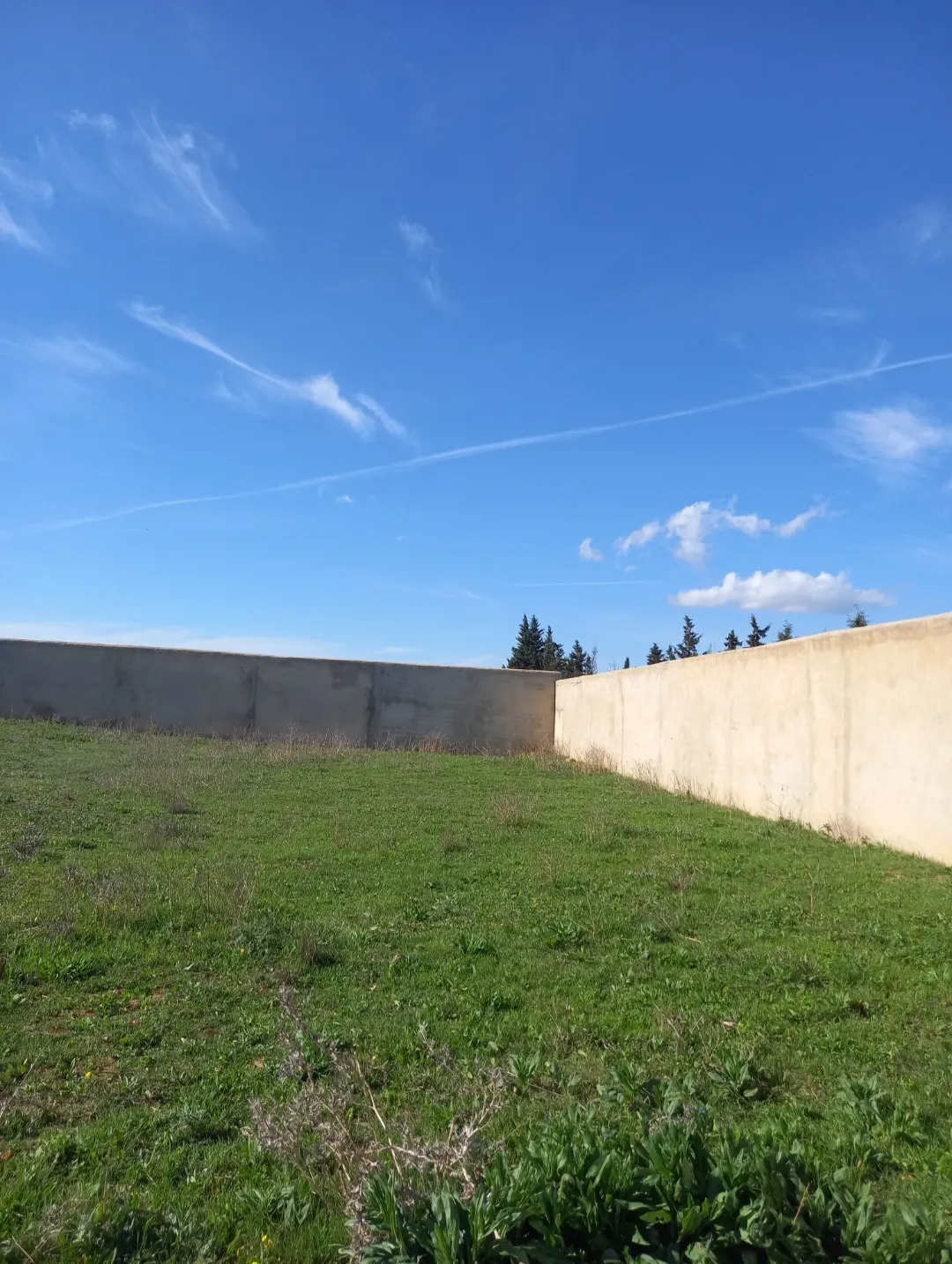 Forfait PRIX EXTRÊMEMENT NÉGOCIABLE TERRAIN entièrement clôturé à HAMMAMET 8200m²