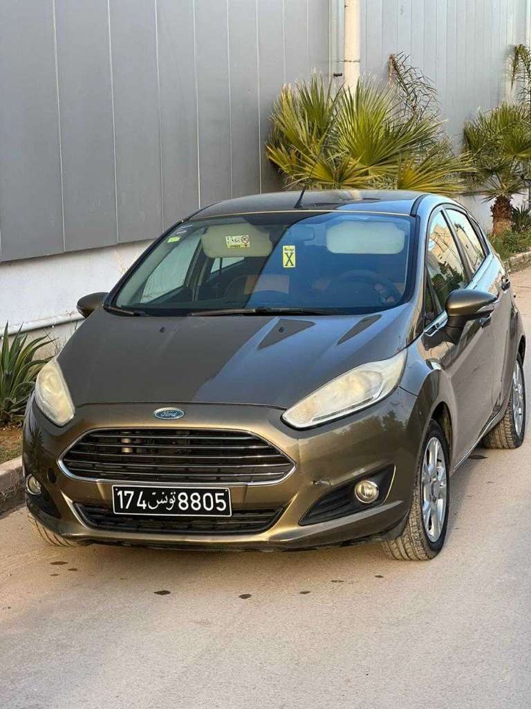Ford fiesta tiatnuim