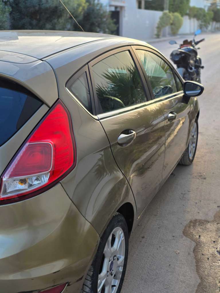 Ford fiesta tiatnuim