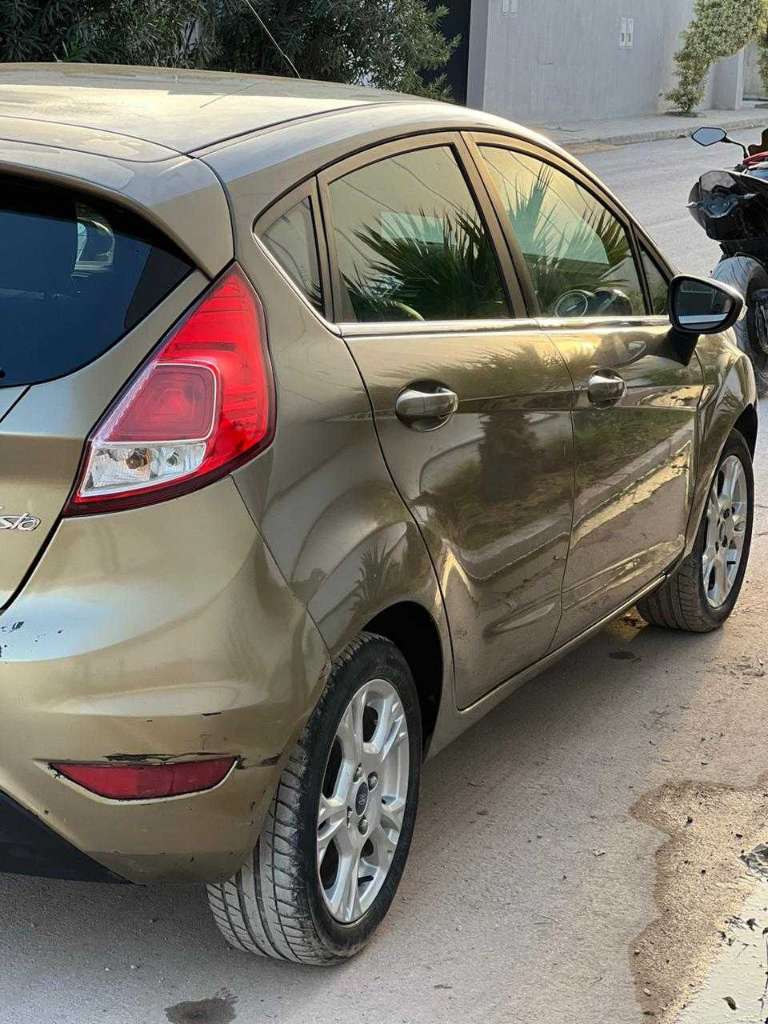 Ford fiesta tiatnuim