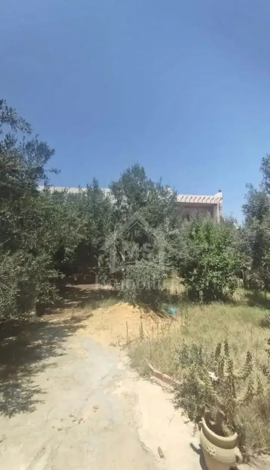 Une propriété à vendre à Hammamet Sud 51355351