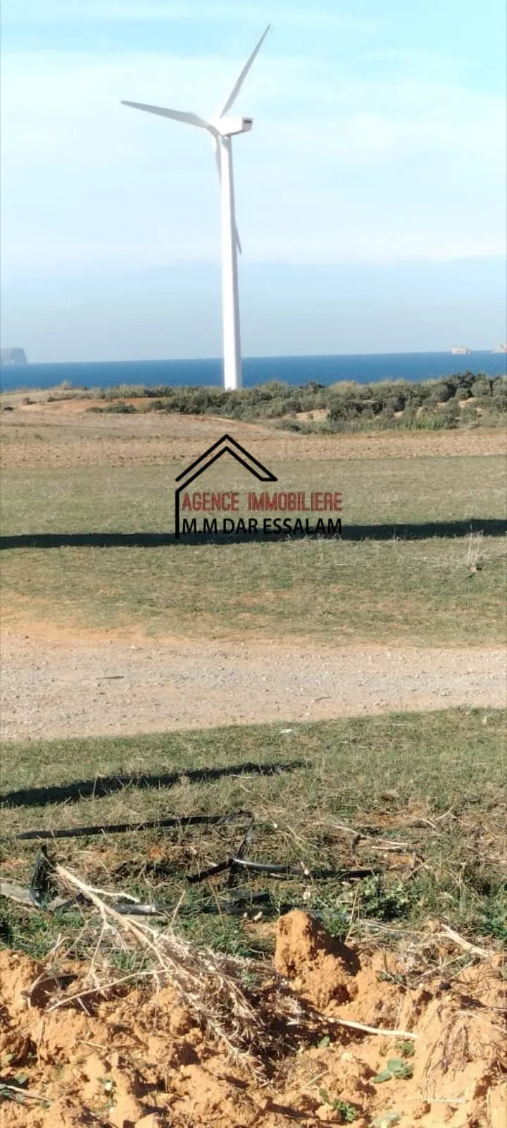 terrain agricole près de la mer