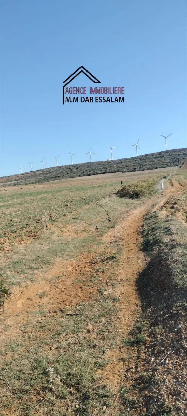 terrain agricole près de la mer