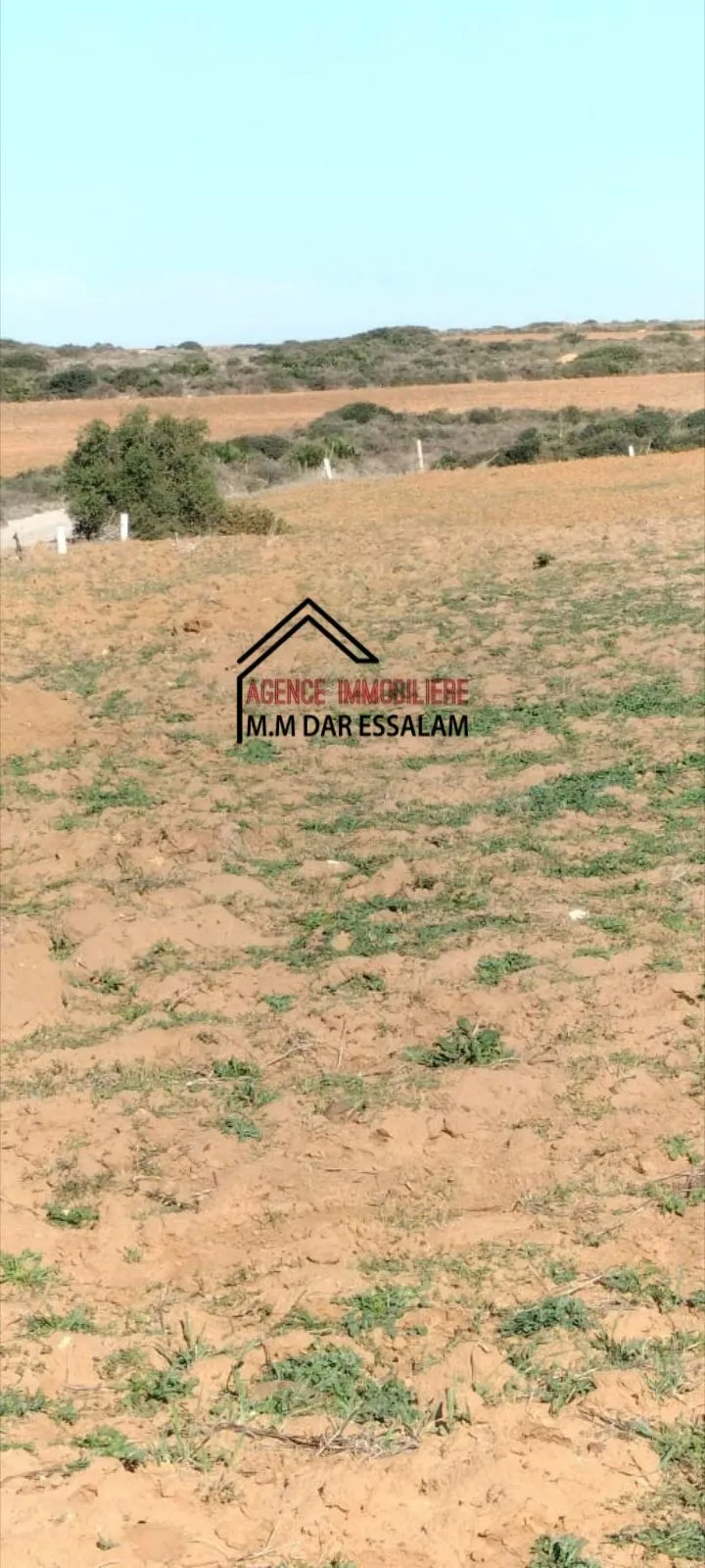 terrain agricole près de la mer