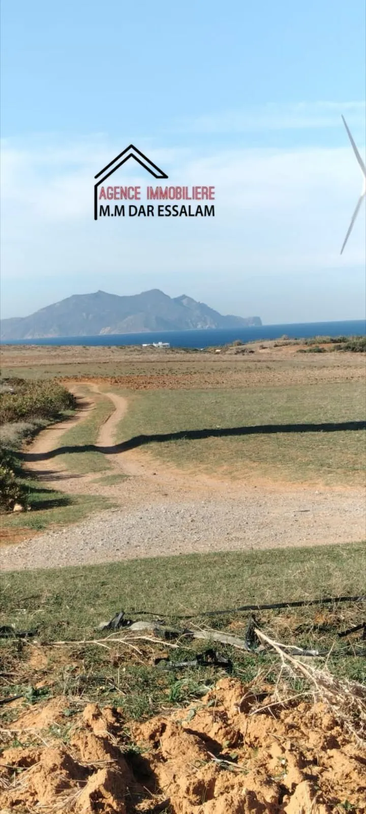 terrain agricole près de la mer