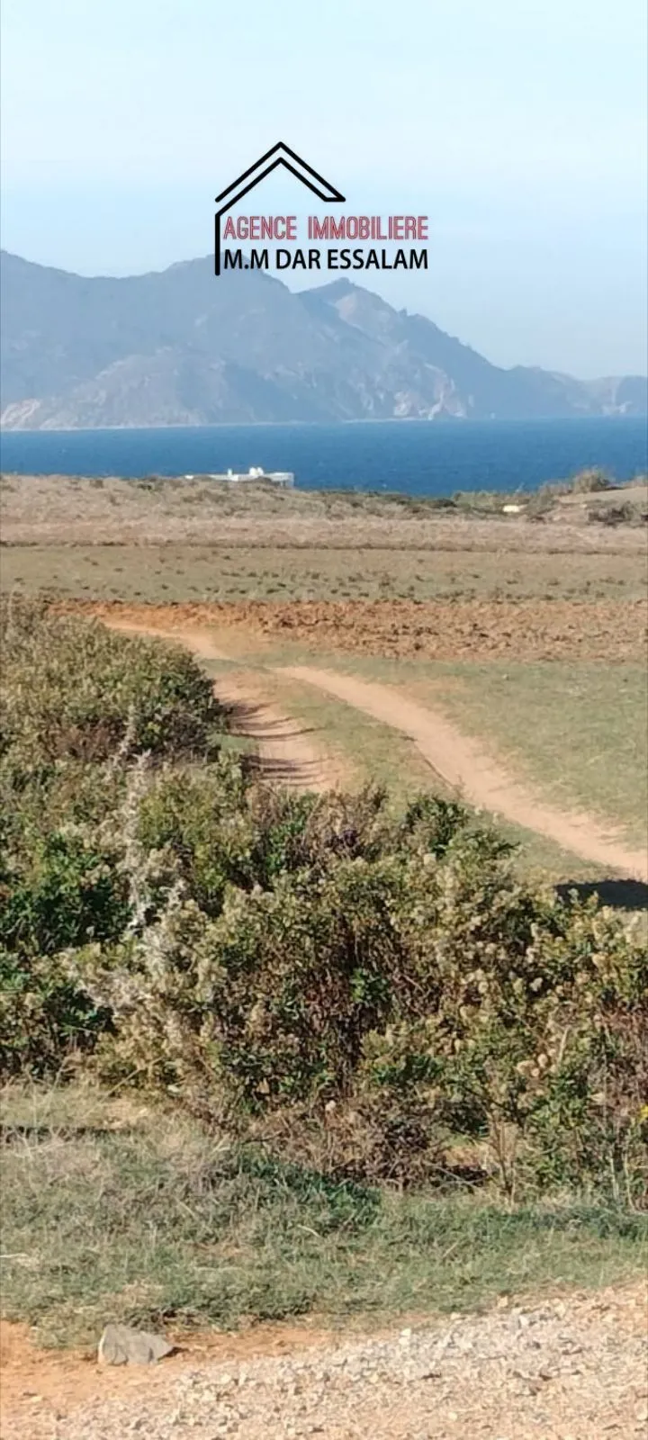 terrain agricole près de la mer