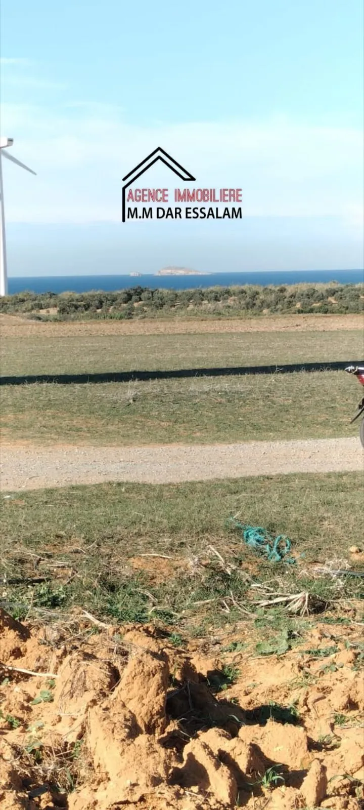 terrain agricole près de la mer