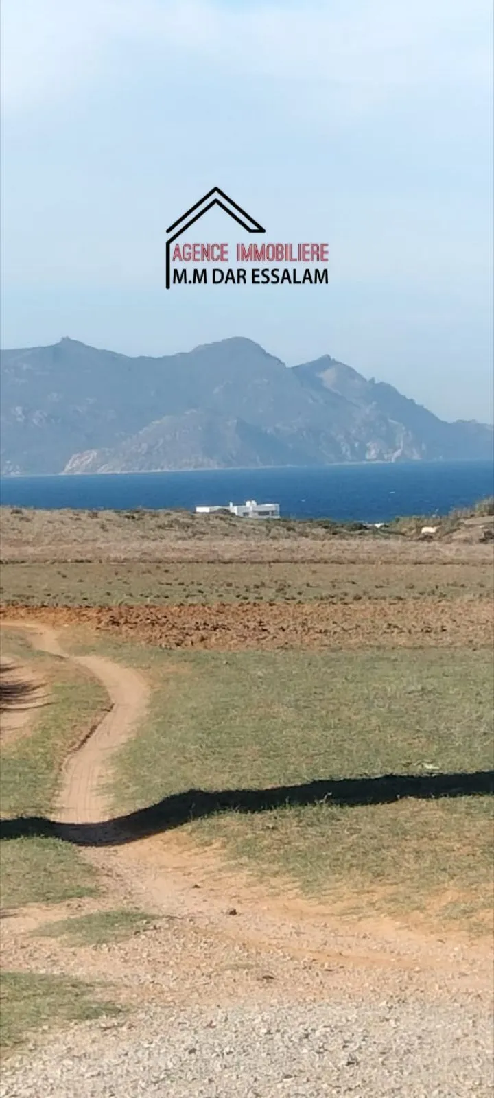 terrain agricole près de la mer