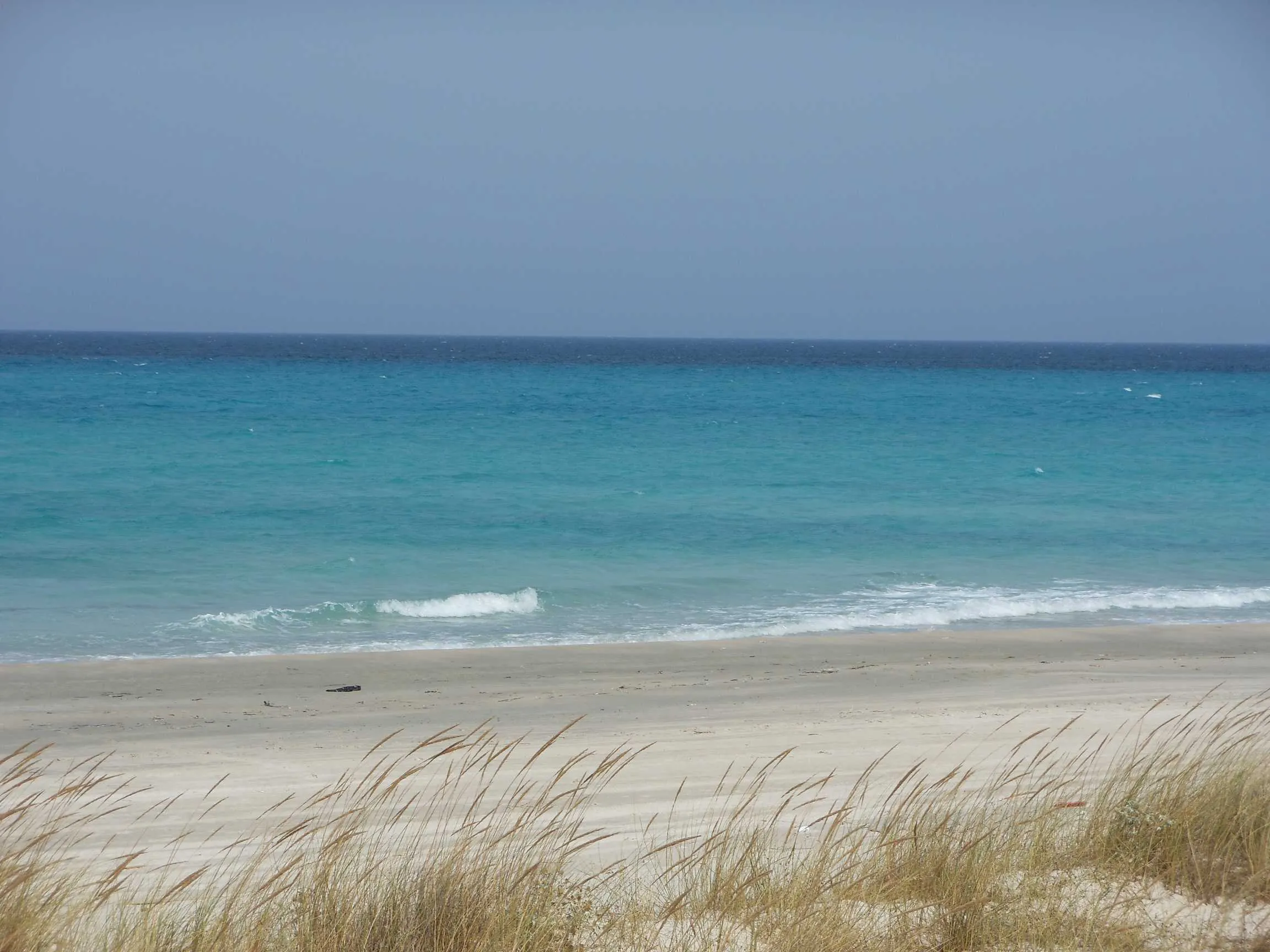 Un terrain en bord de mer a ne pas rate