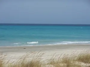 Un terrain en bord de mer a ne pas rate