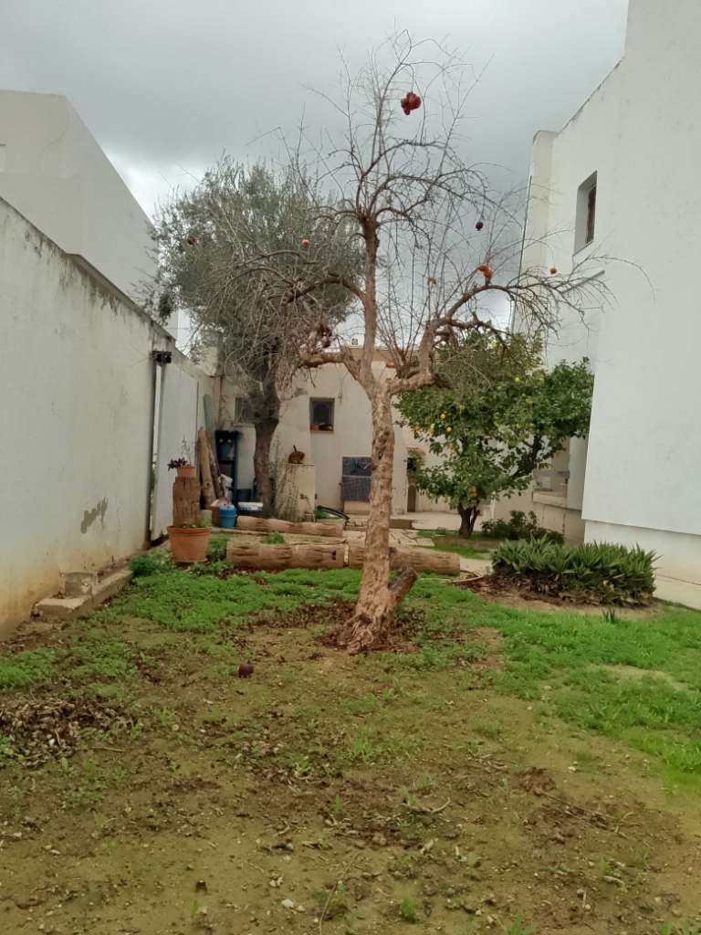 Pour projet immobilier ( R+6 )