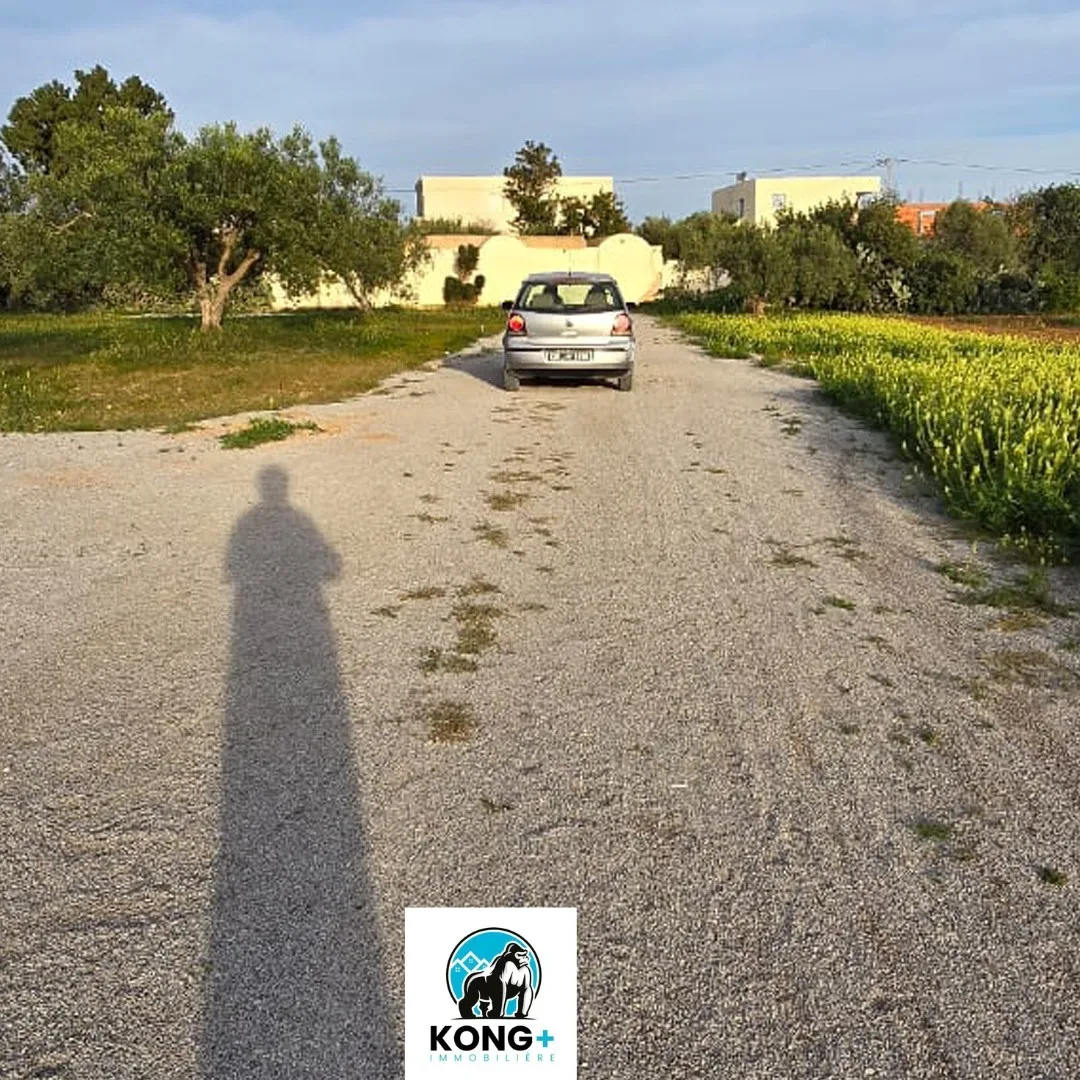 #terrain à vendre# ☎️97.621.860☎️