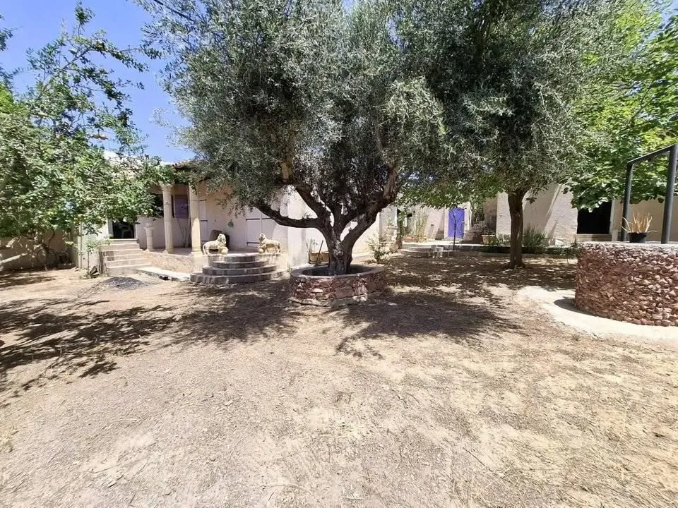 villa arabesque avec jardin 29730412