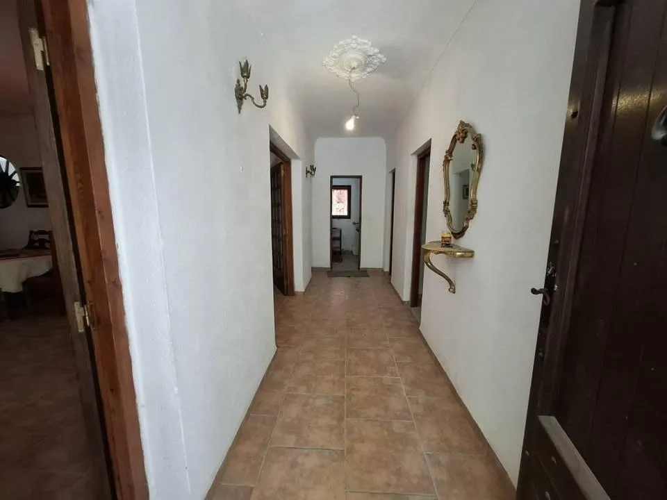 villa arabesque avec jardin 29730412