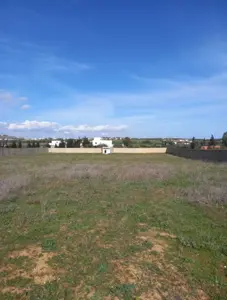 Forfait PRIX LARGEMENT NÉGOCIABLE Terrain de 8200m² entièrement clôturé à HAMMAMET 