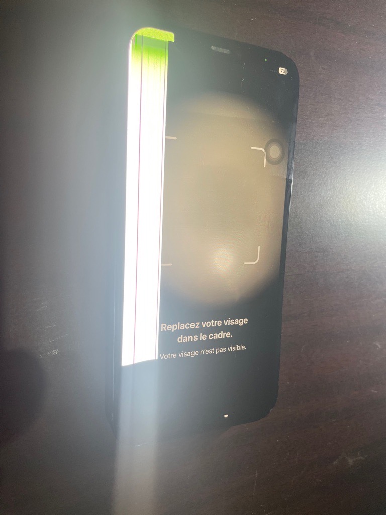 iphone 12 importer 128 GB Officiel
