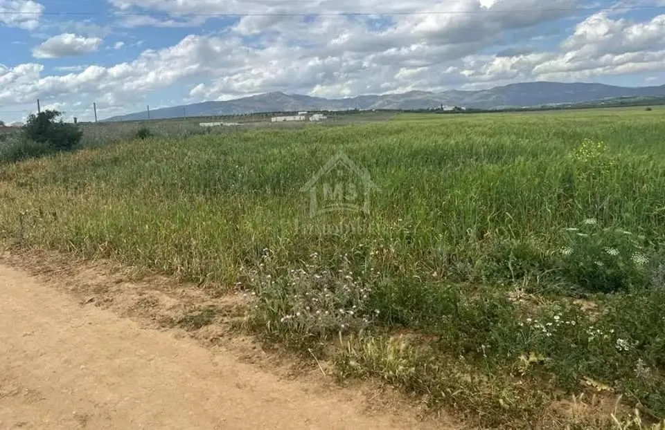 Terrain de 7500 m² à vendre à Hammamet Sud 51355351