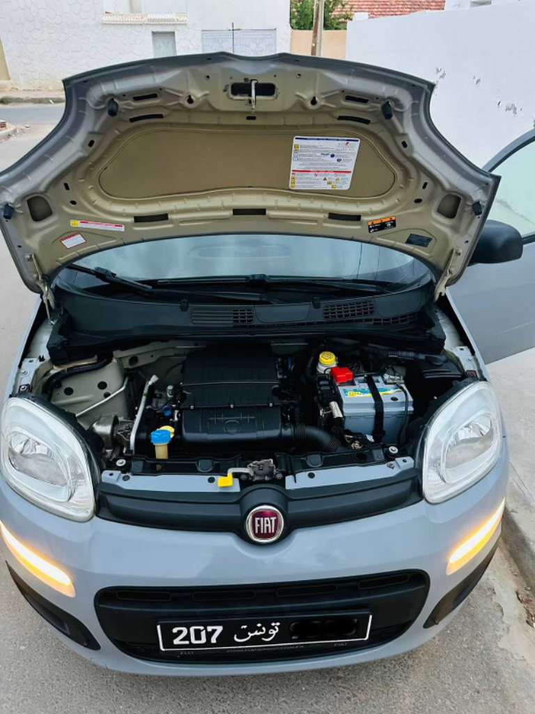 fiat panda