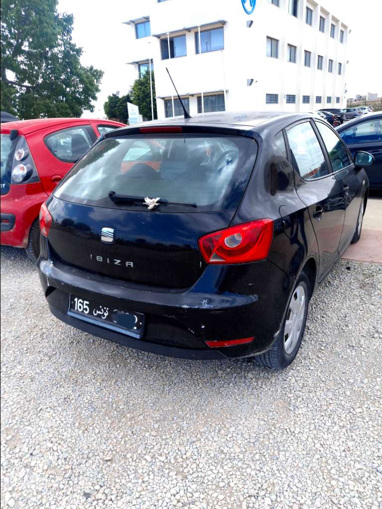 Seat ibiza 
