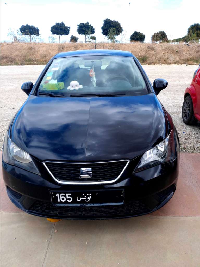 Seat ibiza 
