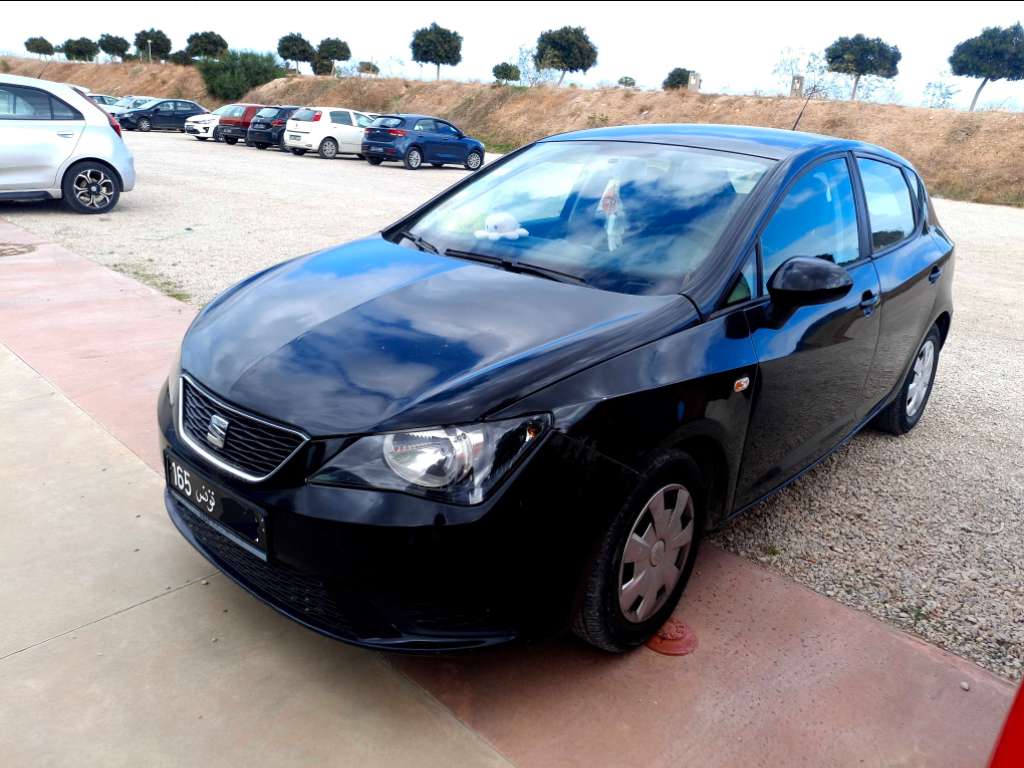 Seat ibiza 