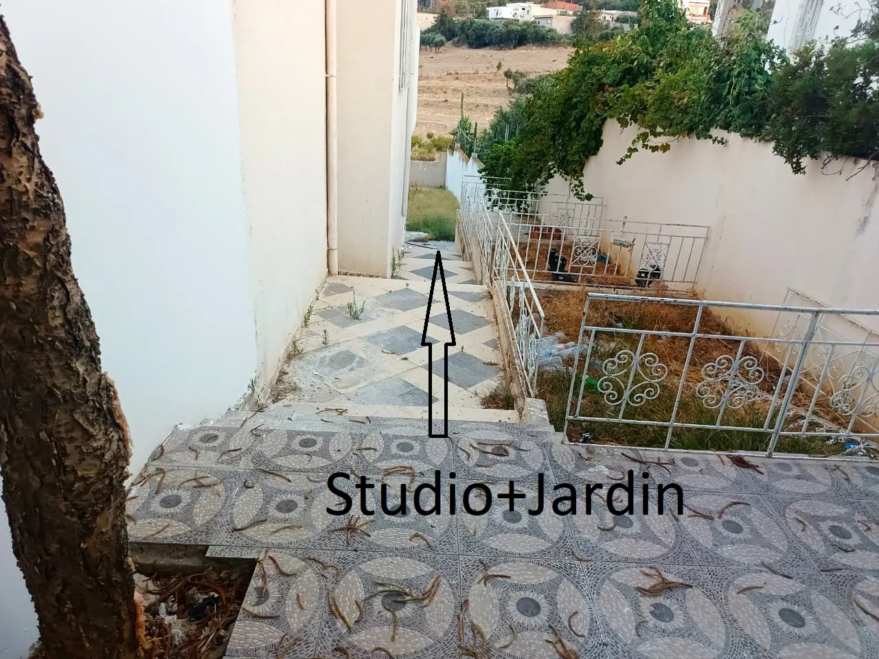 đĄ Maison + studio avec terrain Ă Zaghouan â Vue imprenable sur la montagne