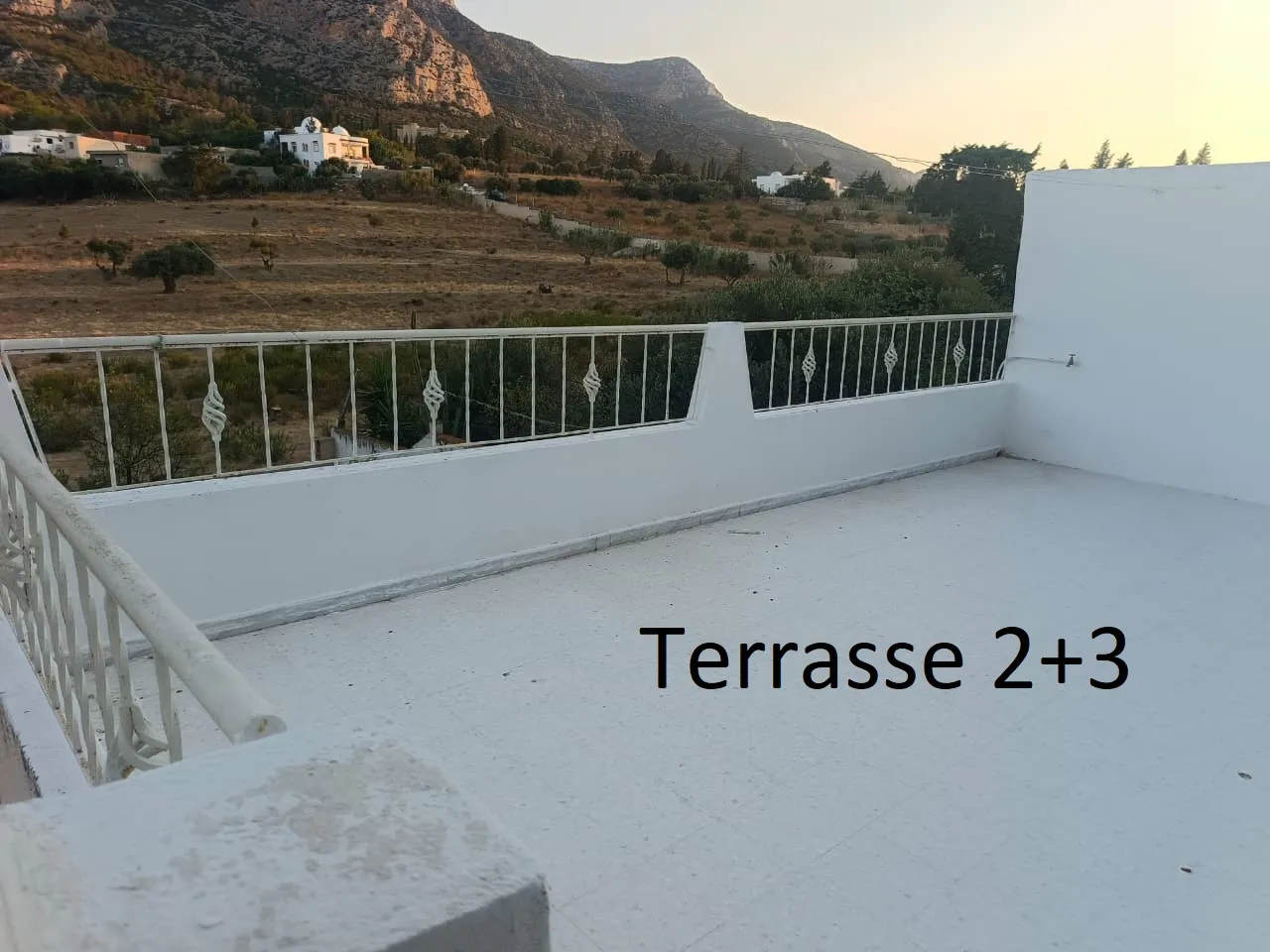 đĄ Maison + studio avec terrain Ă Zaghouan â Vue imprenable sur la montagne