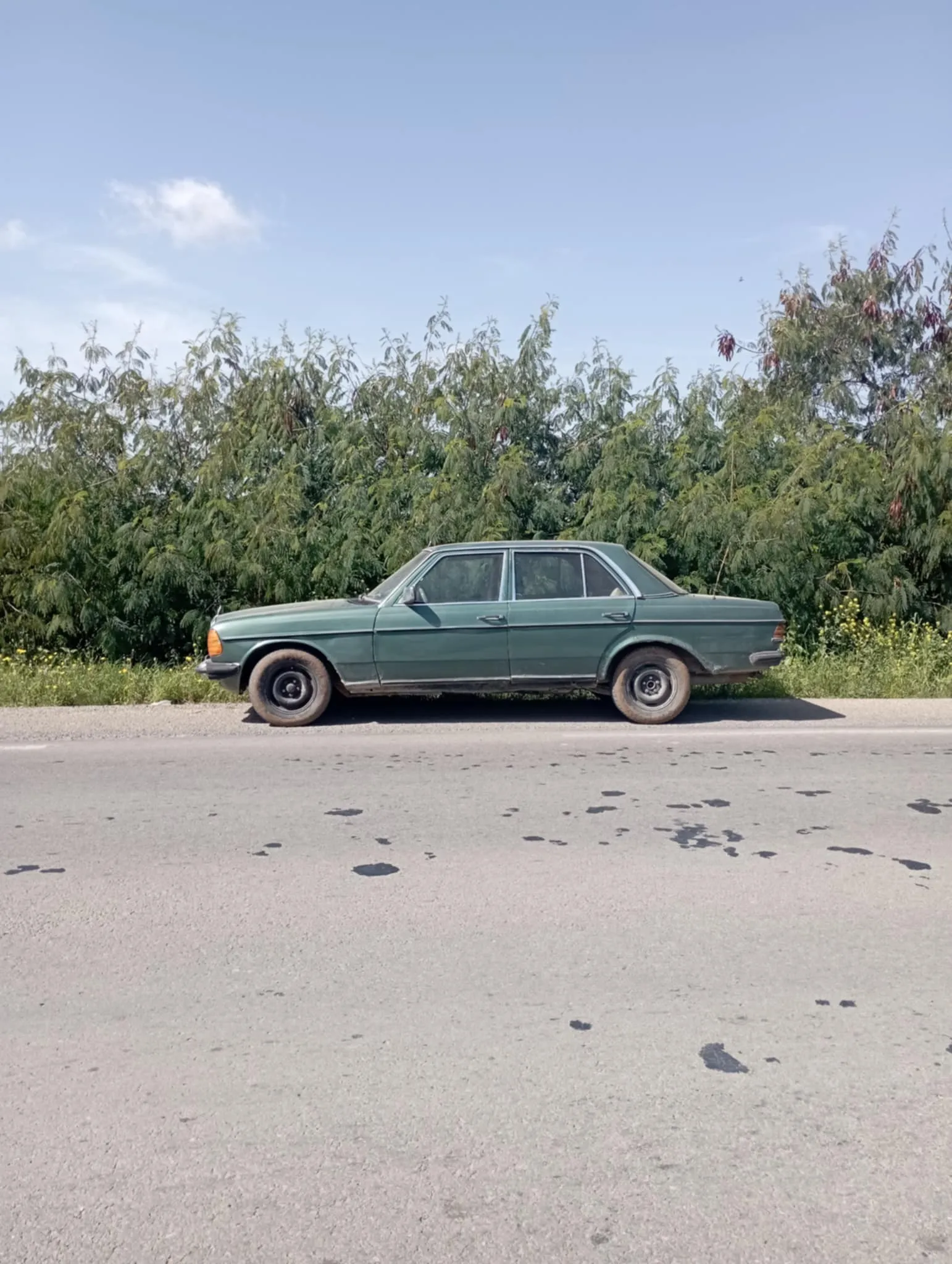 Voiture Mercedes-Benz 203 vert militaire à vendre