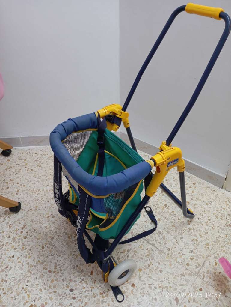 Chariot de bébé 