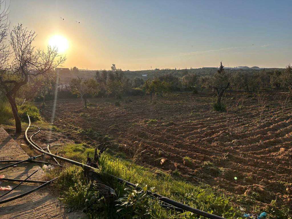 A vendre terrain agricole superficie 1 hectare 7000 situé a  kalla kbira 